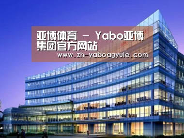 案例展示五