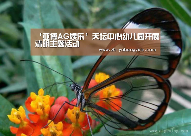 ‘亚博AG娱乐’天坛中心幼儿园开展清明主题活动(图4) 亚博AG娱乐