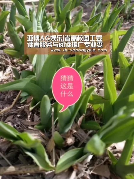 亚博AG娱乐|省高校图工委读者服务与阅读推广专业委员2018年学术年会在我校召开(图2) 亚博AG娱乐